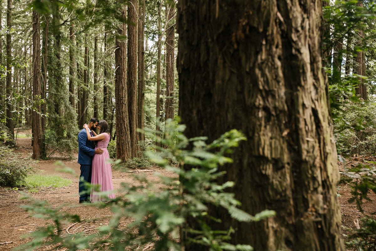 Wedding couple hold each other during portraits at their redwood forest elopement