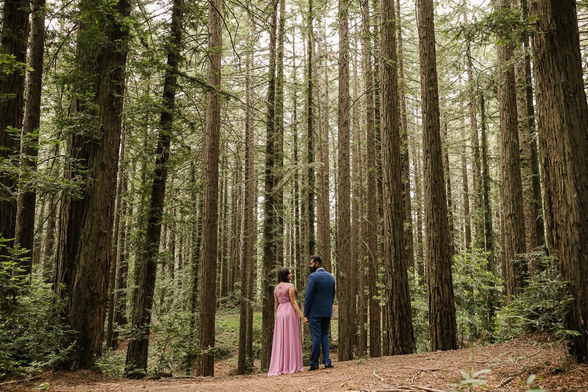 Wedding couple stand among the trees at their redwood forest elopement