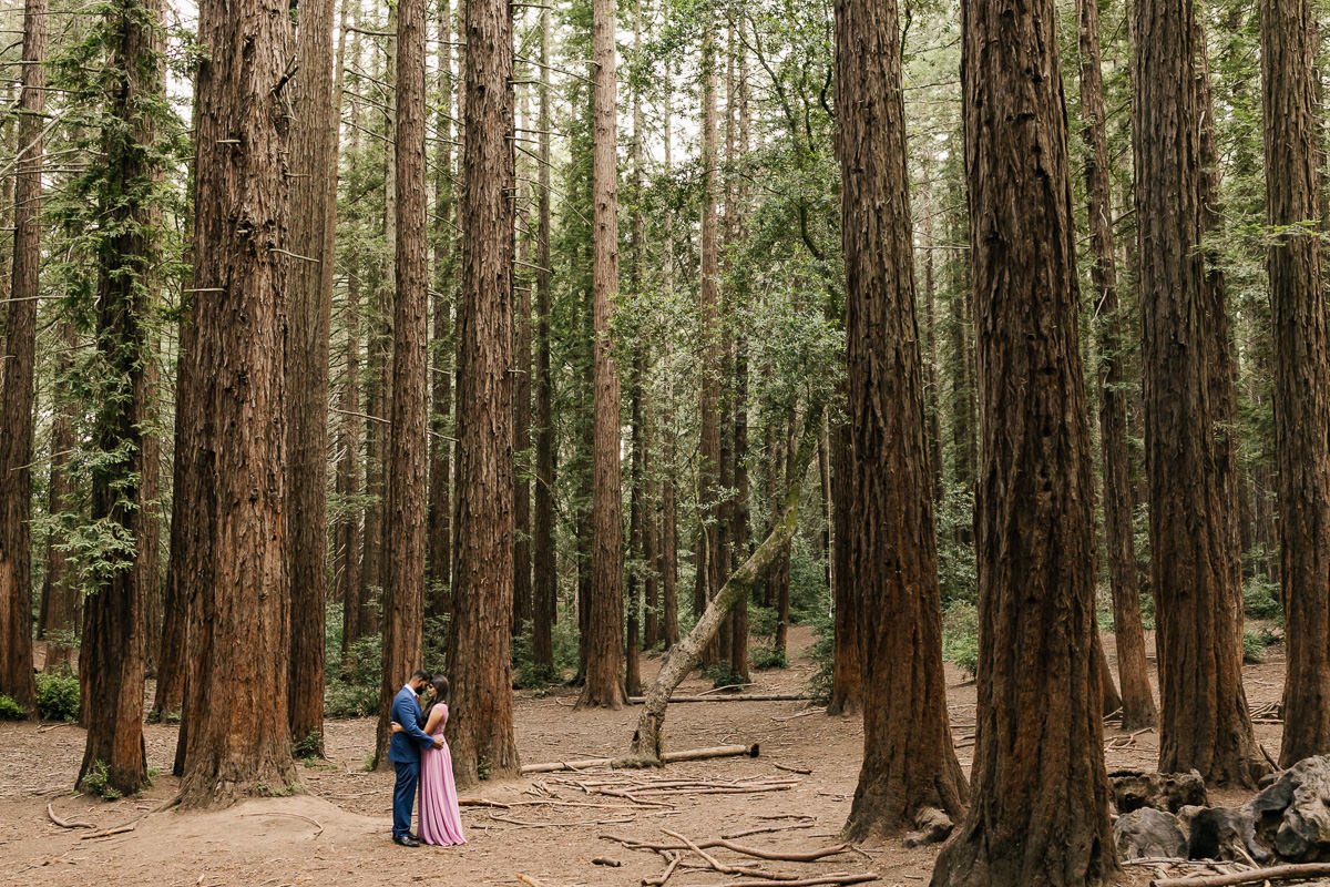 Wedding couple hold each other during portraits at their redwood forest elopement in Joaquin Miller Park