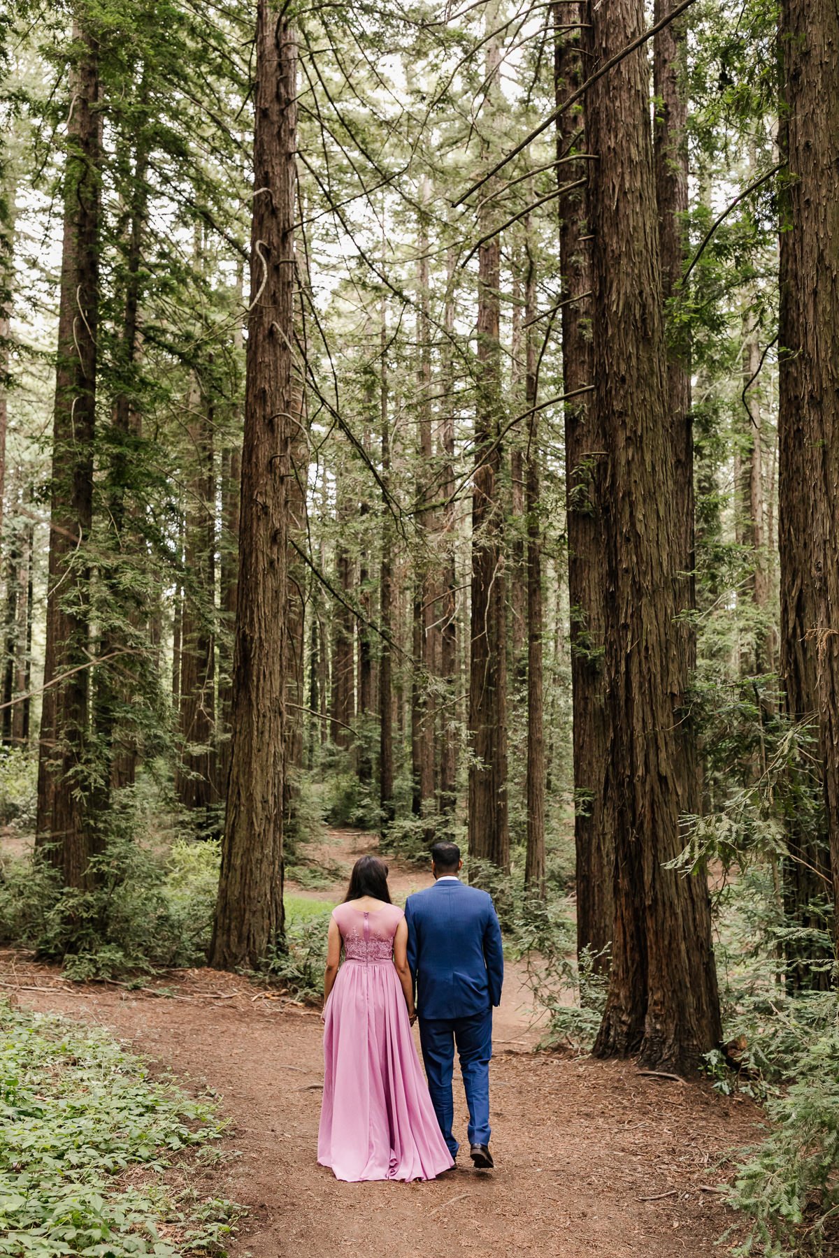Elopement couple walk through the redwood forest