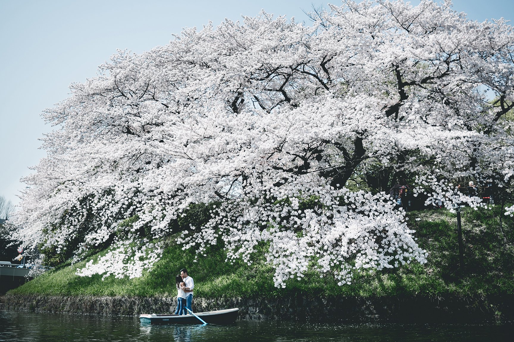 Japan Tokyo Prewedding 21.JPG