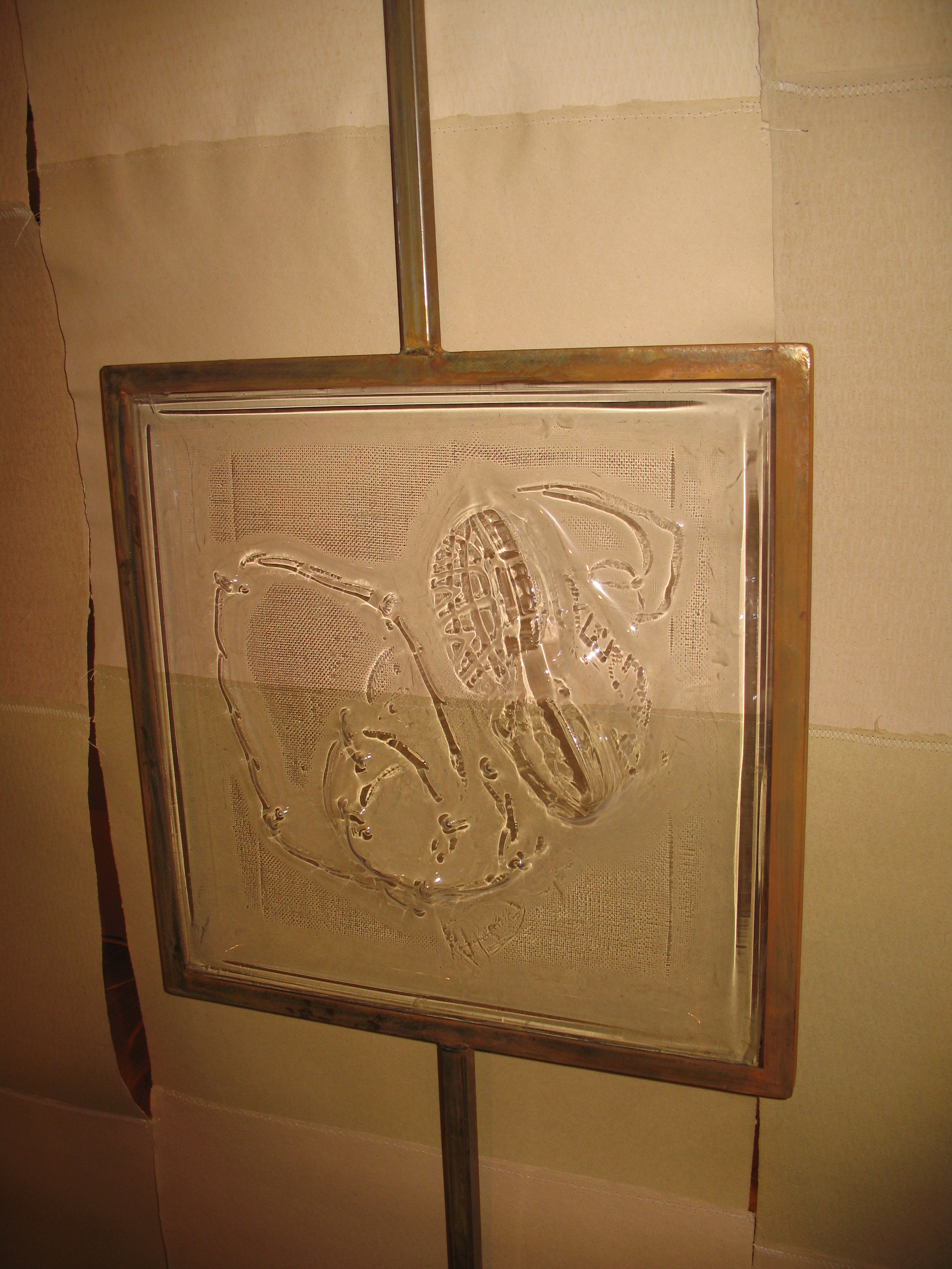 z_plexi installed.JPG