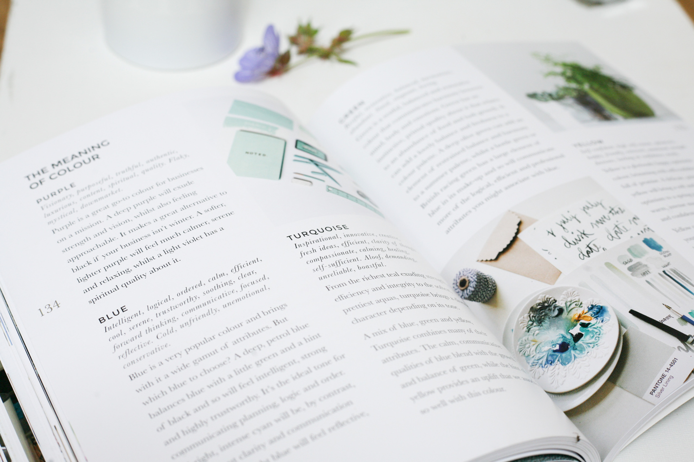 HOW-TO-STYLE-YOUR-BRAND-BESTSELLING-BOOK-BY-FIONA-HUMBERSTONE-3.jpg