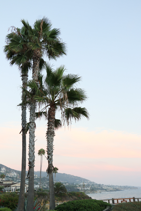 The Brand Stylist in California-23.jpg
