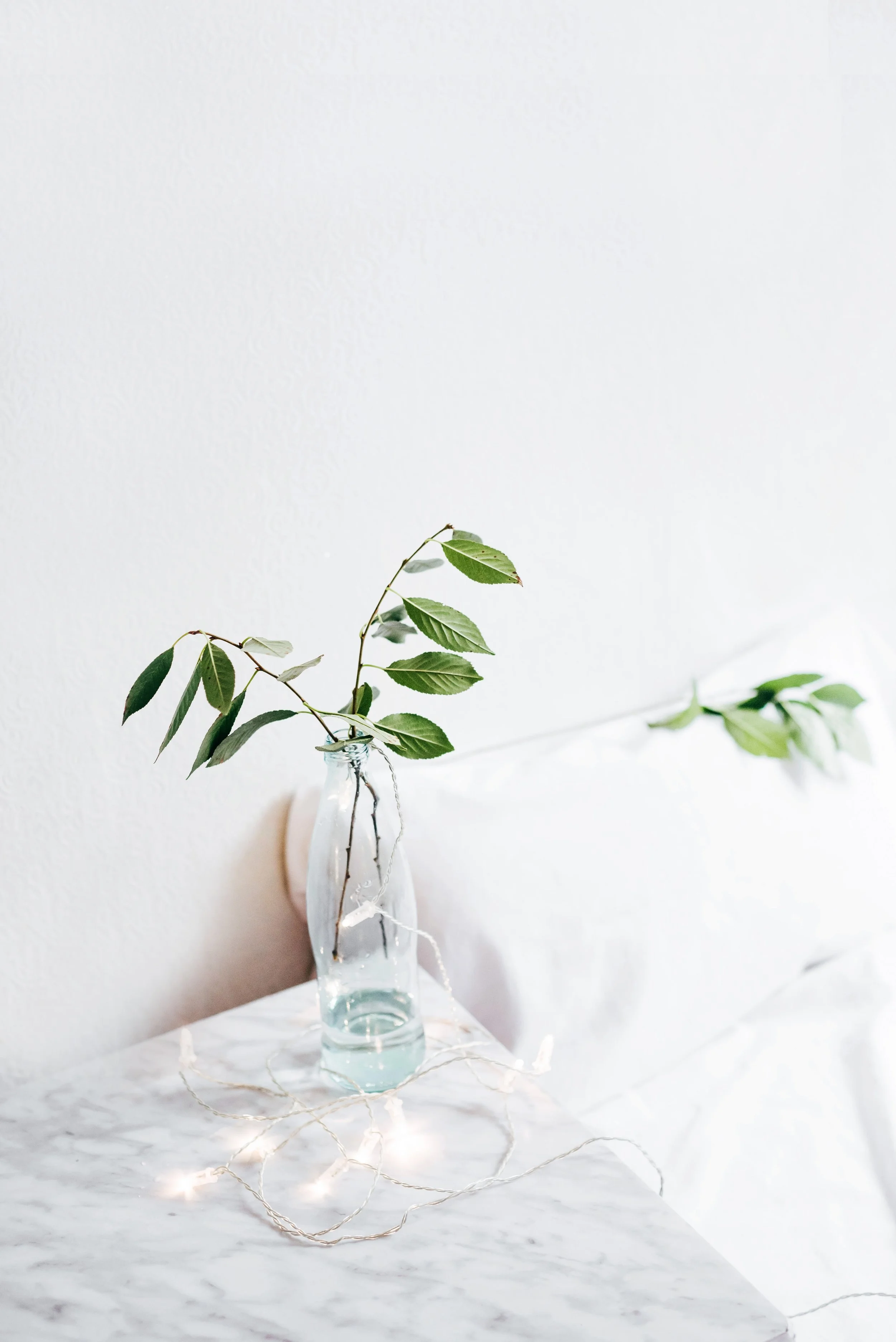 alexandra-gorn-467319-unsplash.jpg
