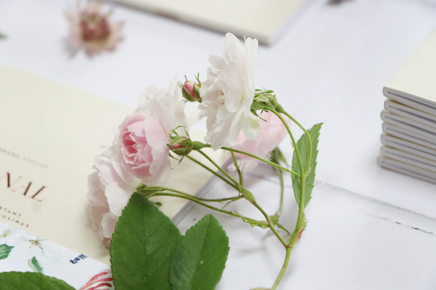 The Brand Stylist Creative Flair Workshop Welcome Boxes-15.jpg