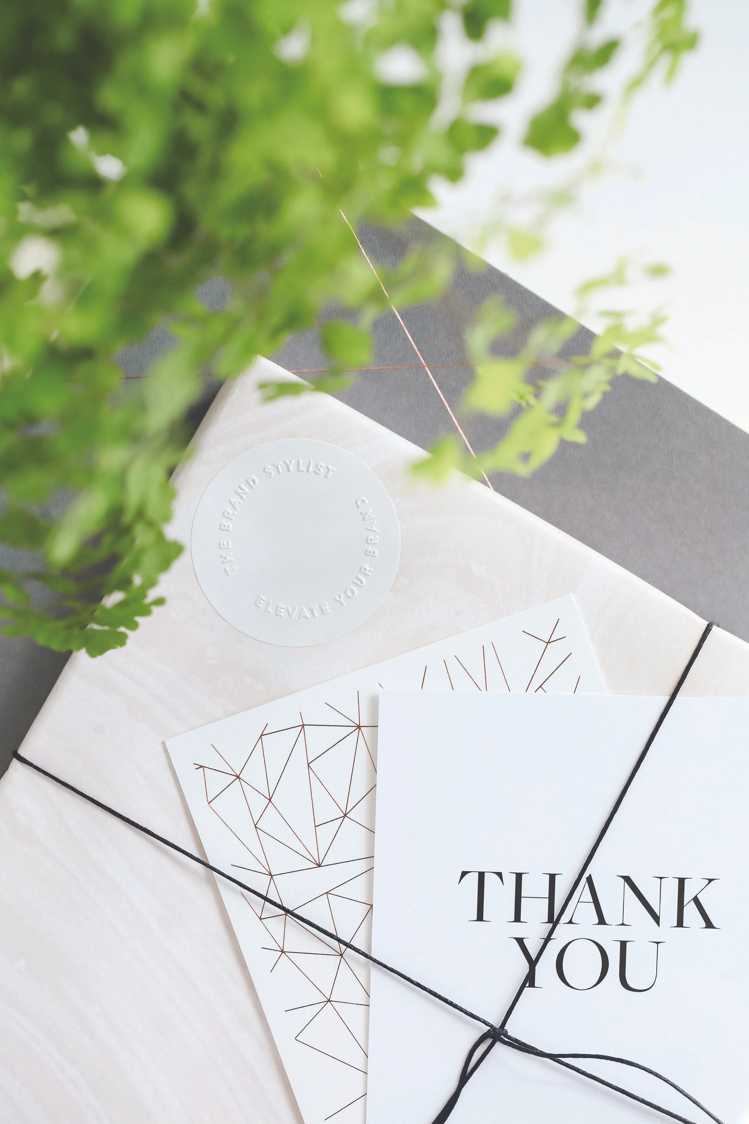 Fiona_Branded_Boxes_HR_0106.jpg