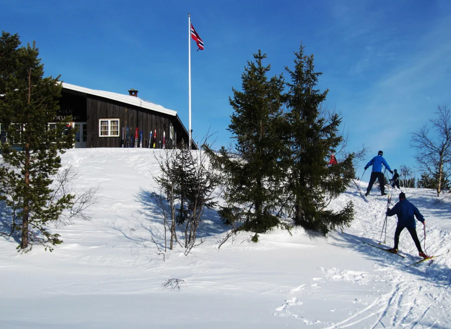 Å INTEGRERE ALLE ER UTOPI
