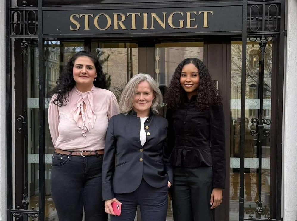 LIM på Stortinget: – Kartlegg parallellsamfunnene nå