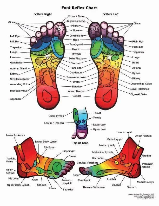 19822eb15bab35a81836458ede1046f8--reflexology-points-foot-reflexology-chart.jpg