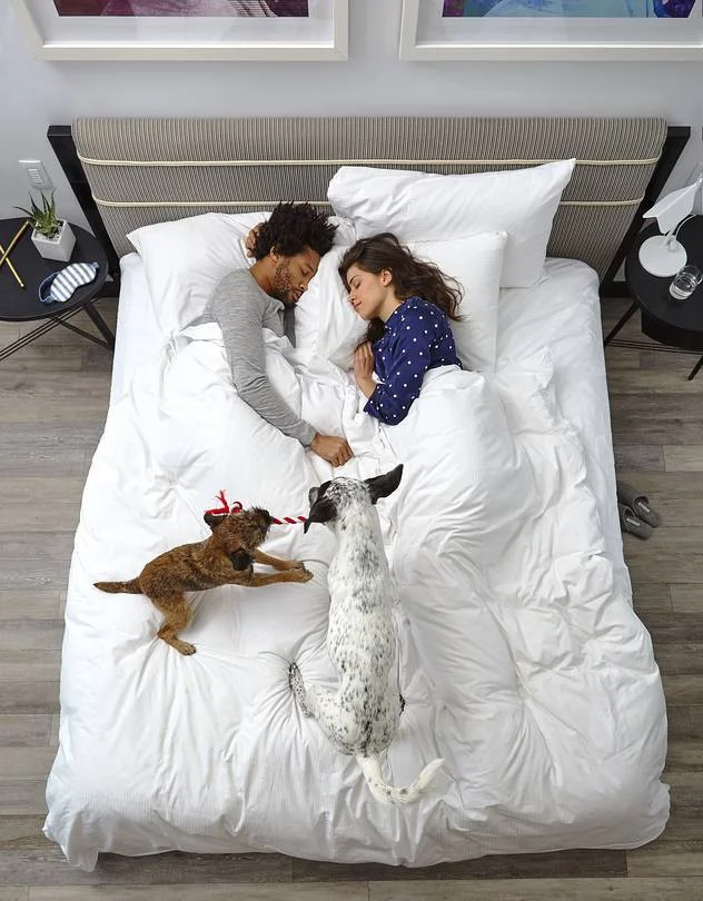 sleep-number-bed-linens-beautiful-tough-time-sleeping-next-to-your-partner-these-technologies-might-of-sleep-number-bed-linens.jpg