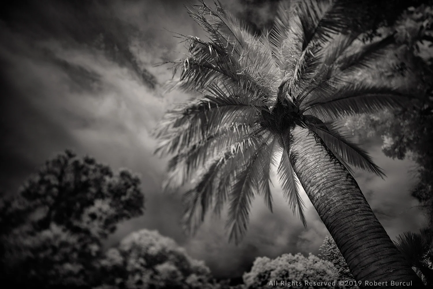From a faraway place