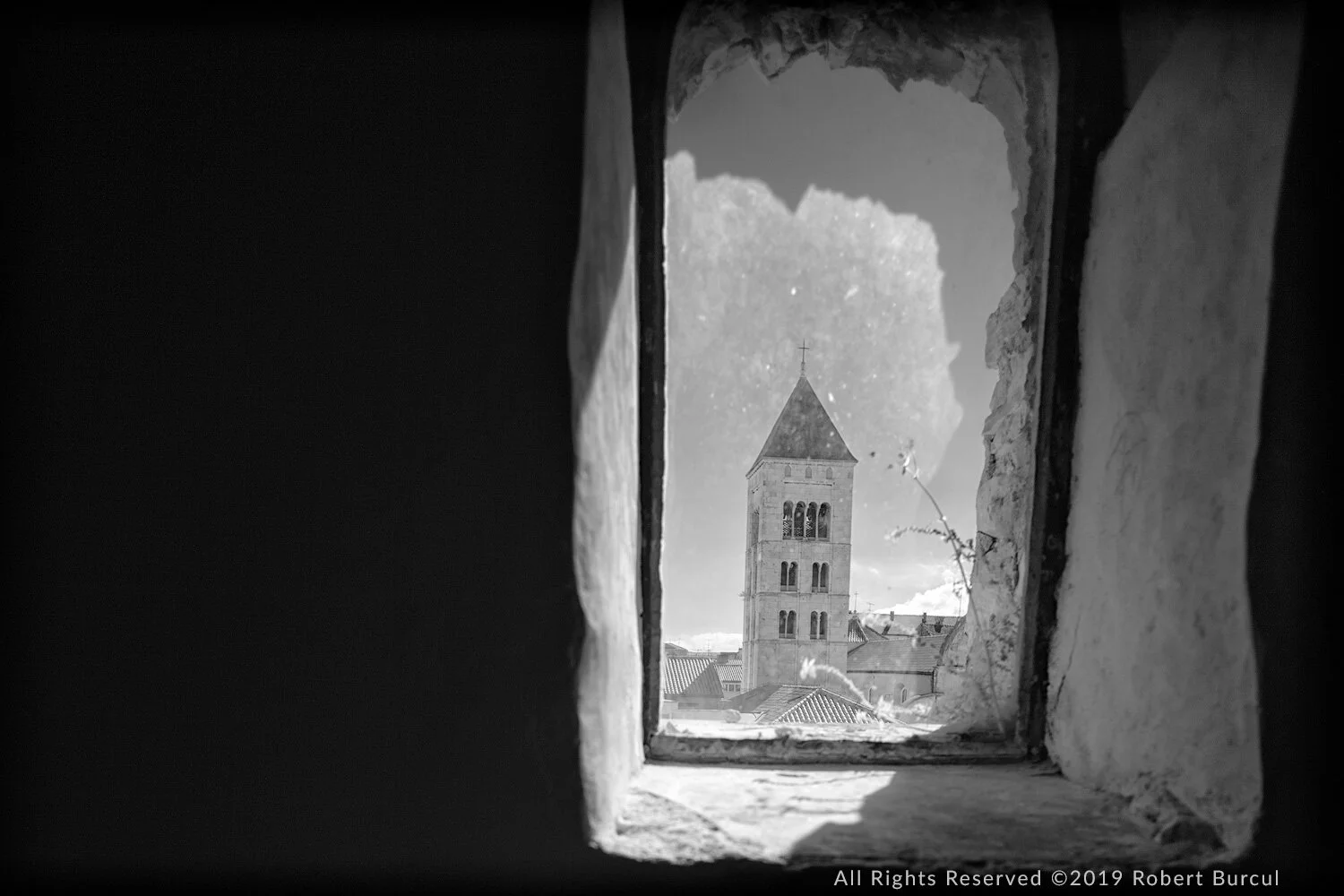 window-donat_1.jpg