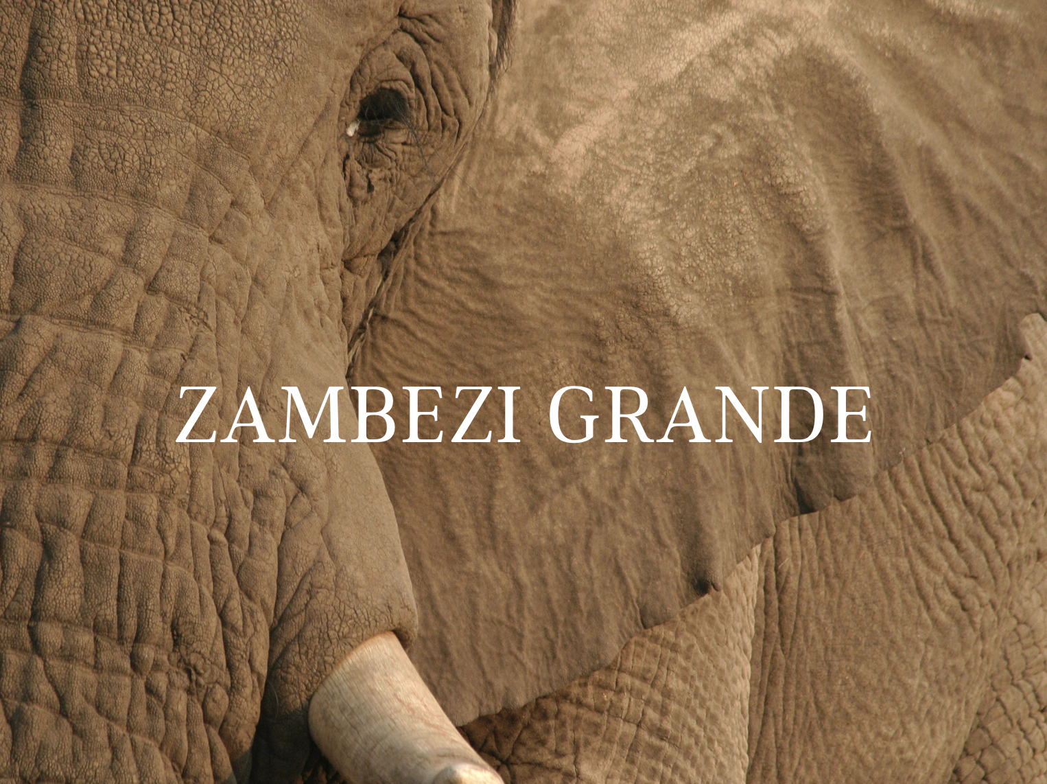 ZAMBEZI GRANDE Brand strategy and positioning, Brand naming