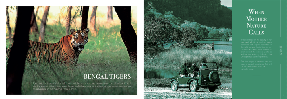 Brain Juice Collective_Editorial and Design Services_Ravishing_India_Travel_Catalogue_04.png
