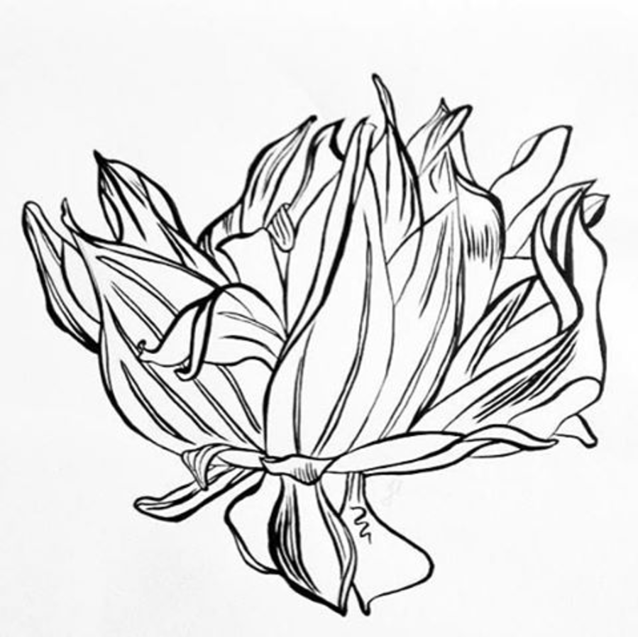 Screen Shot 2016-11-29 at 9.20.08 am.png