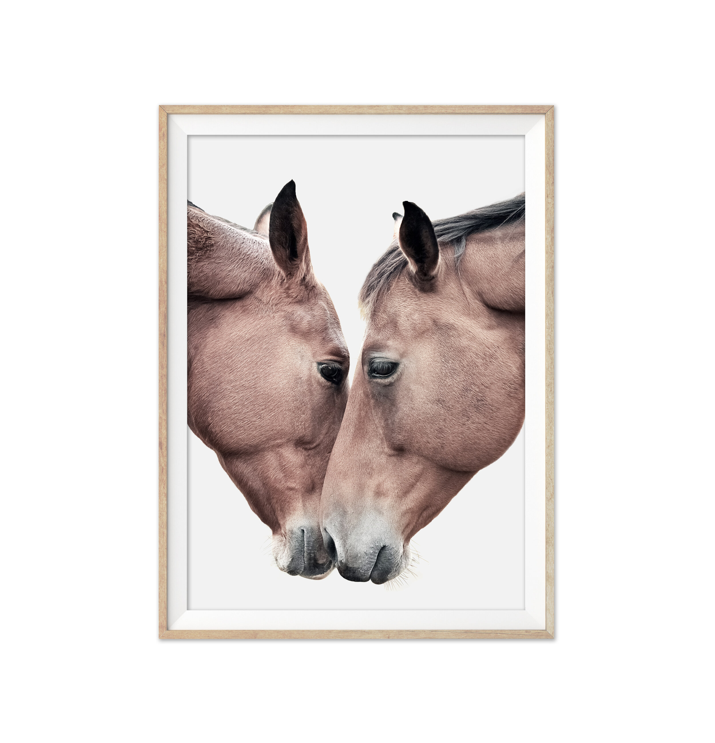 Kissing Horses - portrait.jpg