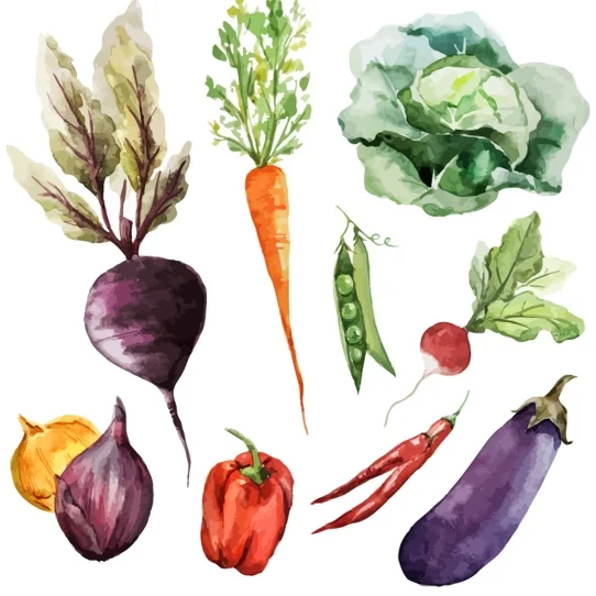 watercolor-vegetables_1002-14.jpg