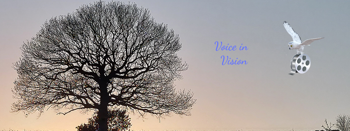 Tree and Owl Banner-Backwith owl and.png