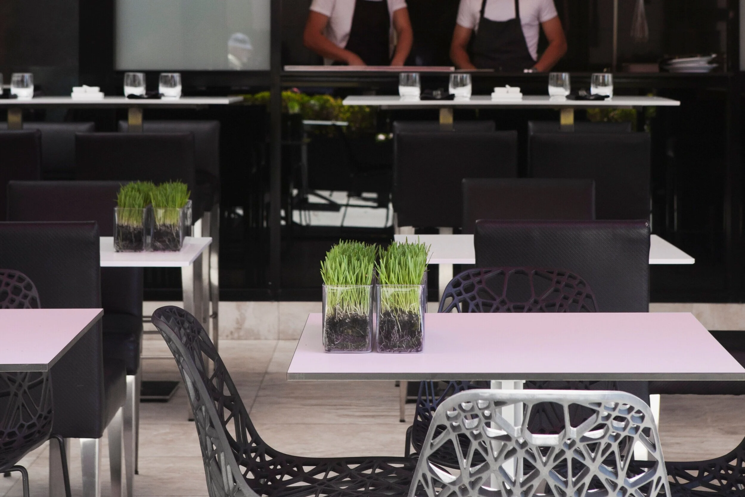 Contemporary outdoor dining and entertaining area with designer furniture by Luis La Pegna Designs Sydney