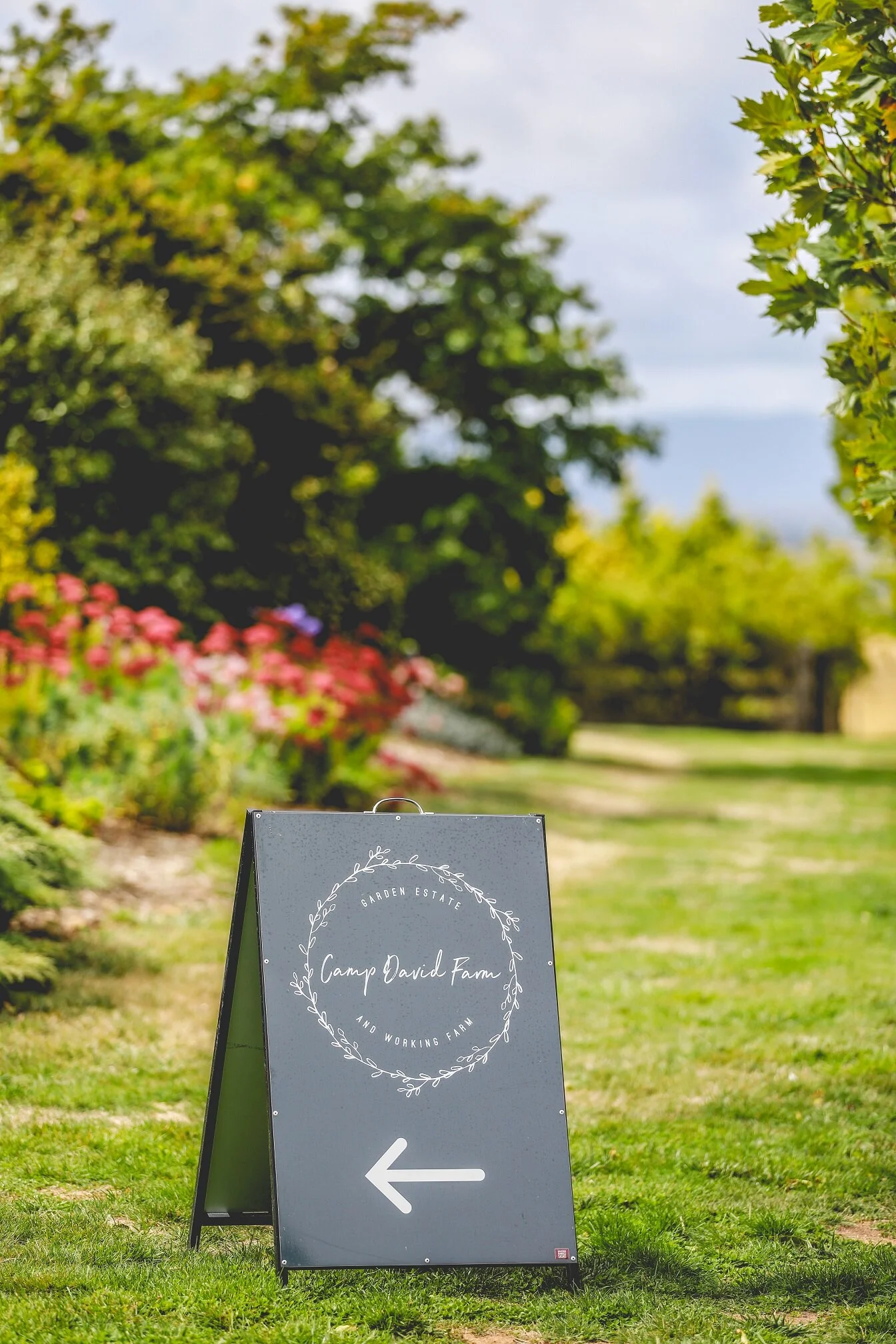 Camp David Farm - Danni + Brenton March Wedding 2020 - Cindy Power (3).jpg