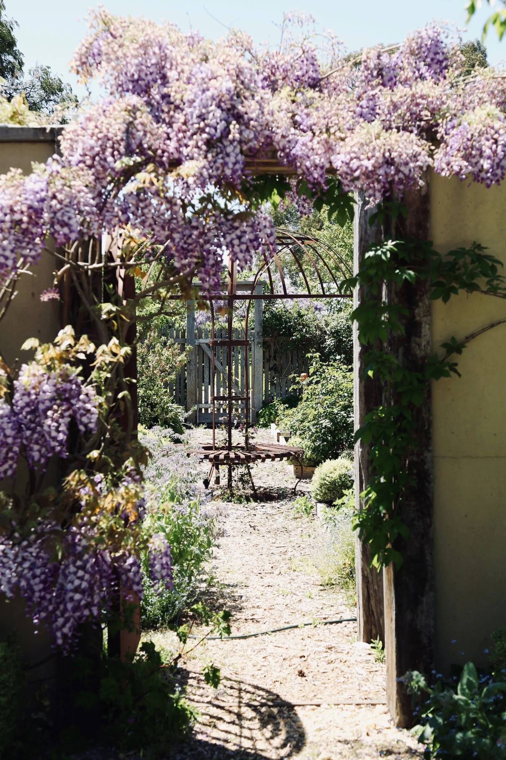 Garden and Farm By Tenylle Maree Photography (6).jpeg