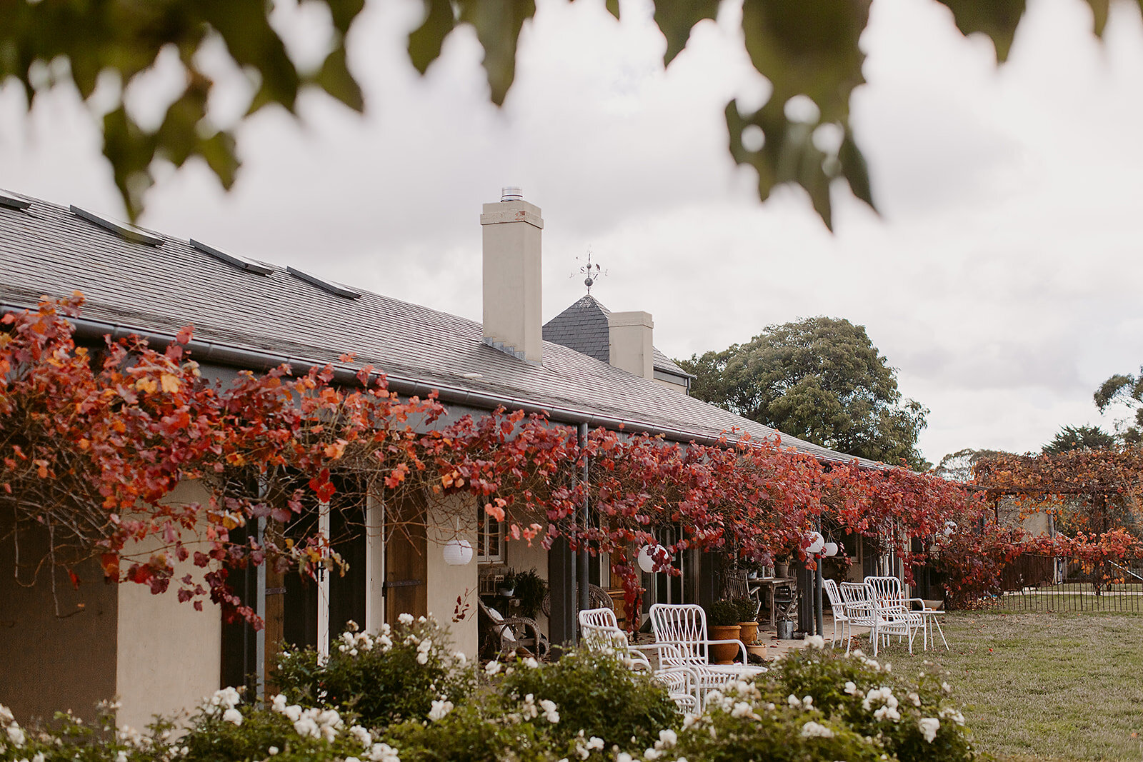 Sally and Matt May 2019 By Ashleigh Haase Photography (4).jpg