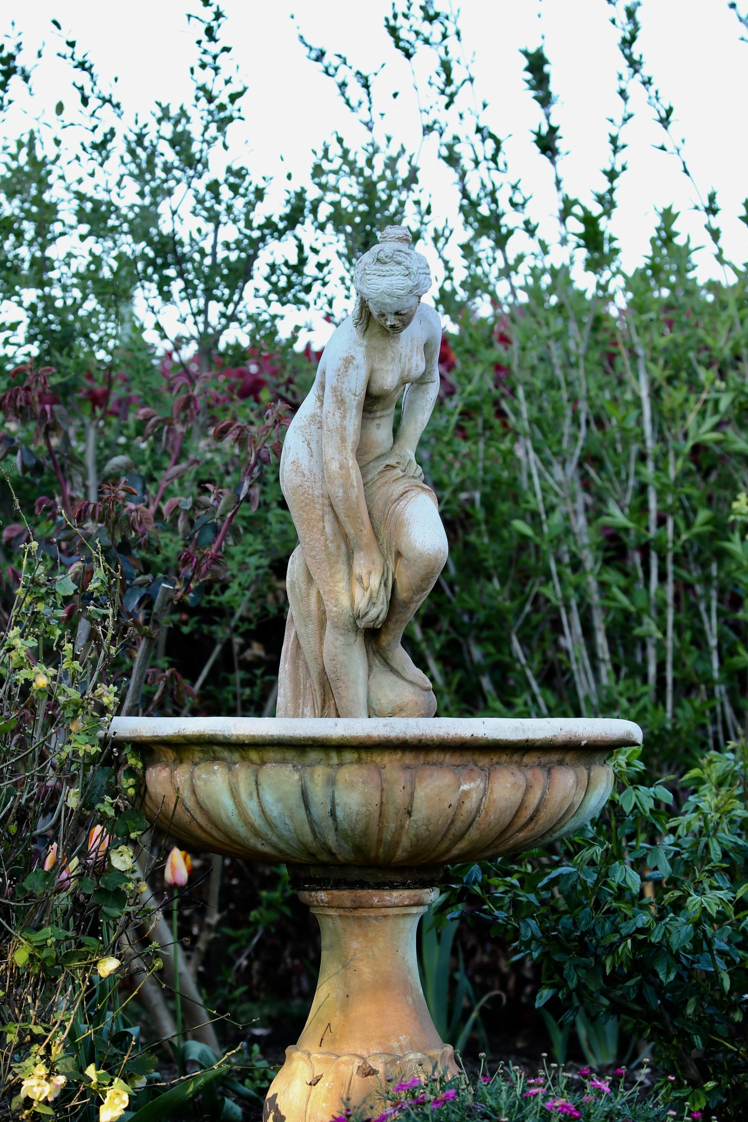 Tenylle Maree Photography (2).jpg