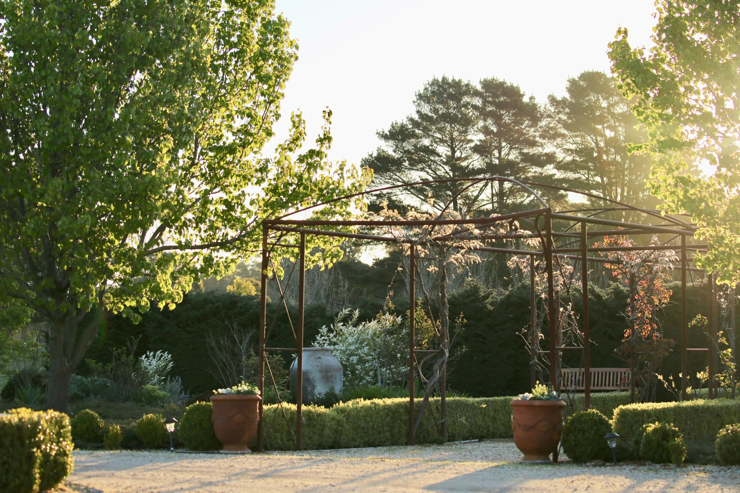 Tenylle Maree Photography (4).jpg