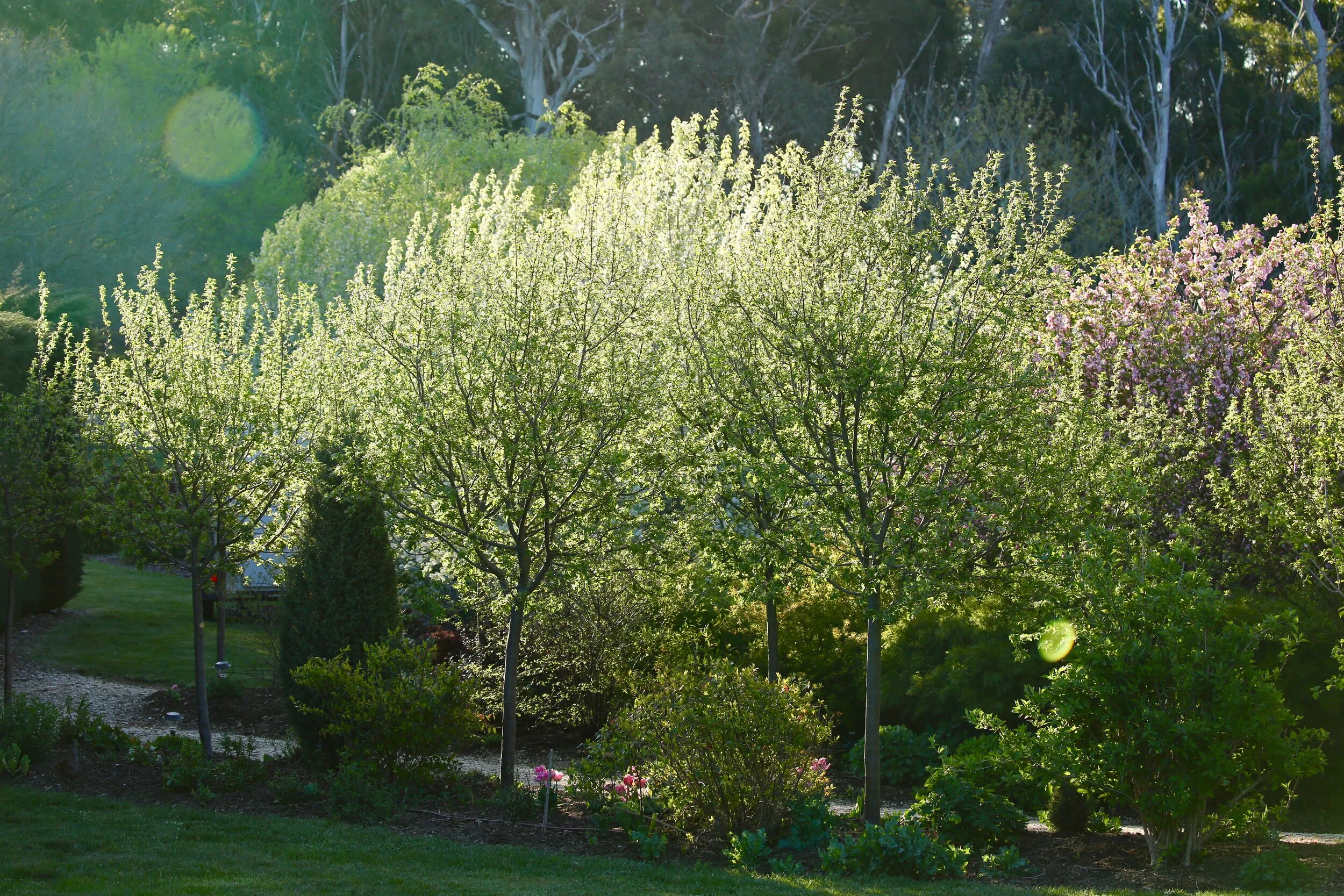 Tenylle Maree Photography (3).jpg