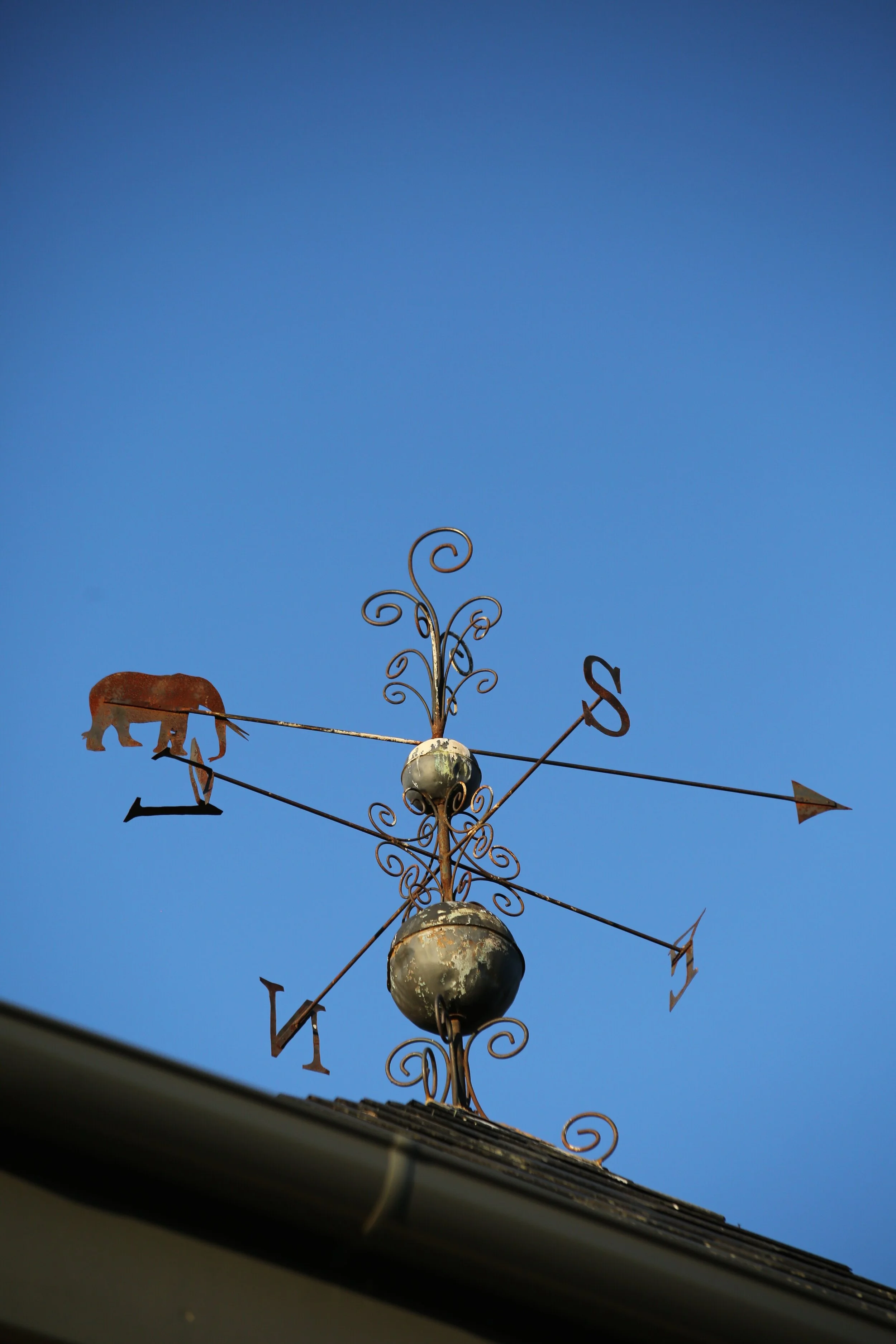 Tenylle Maree Photography (5).jpg