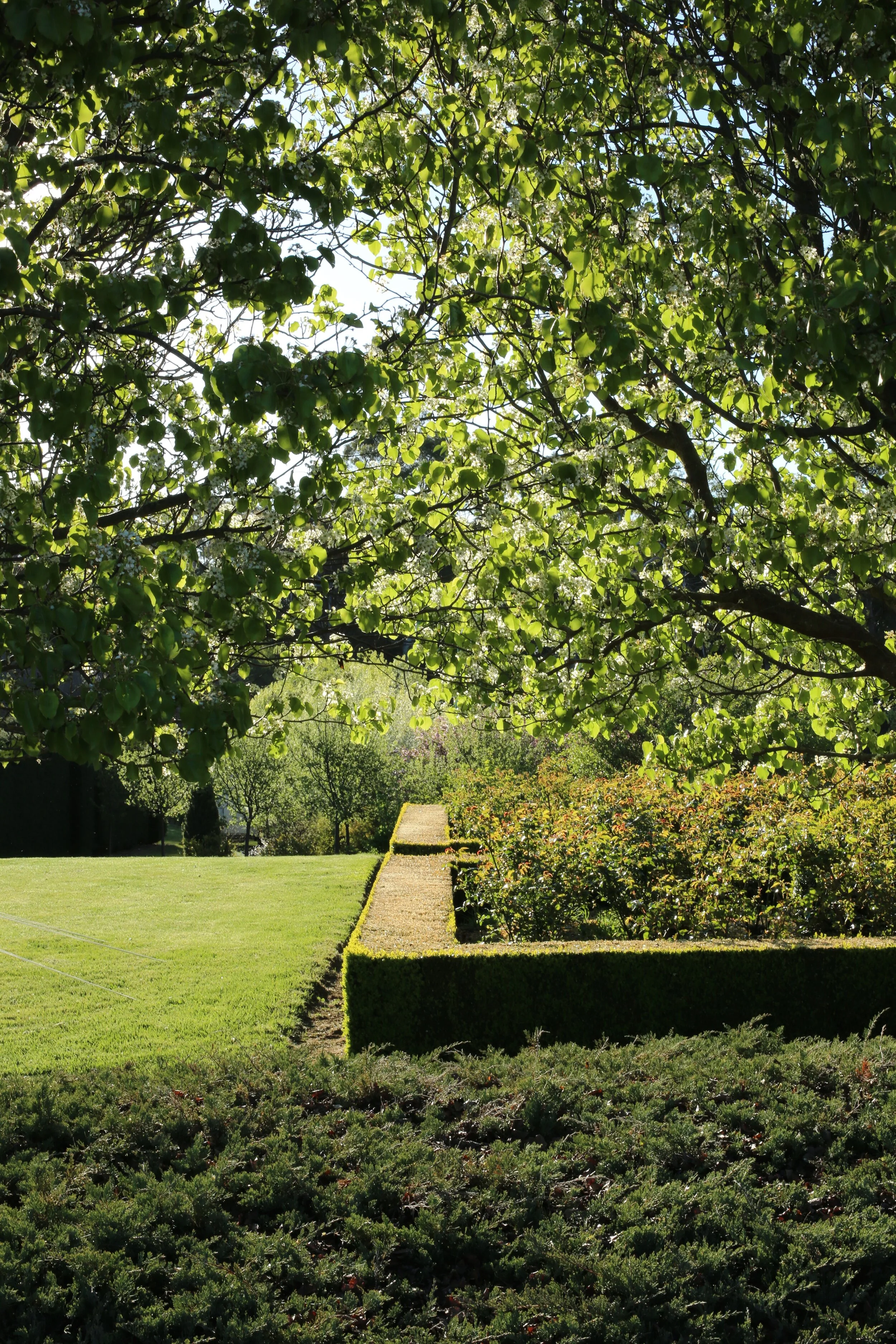 Tenylle Maree Photography (15).jpg