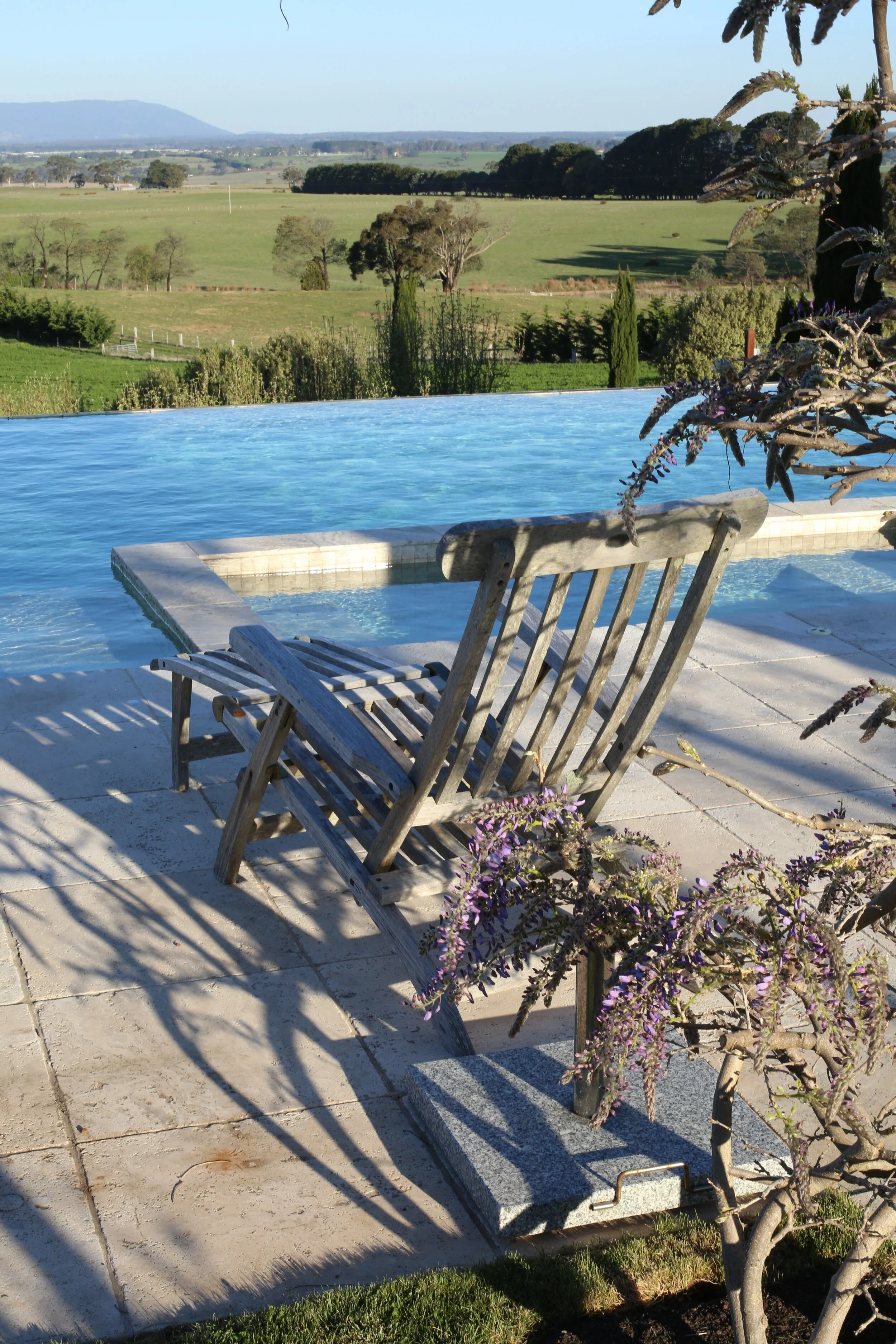 Tenylle Maree Photography (17).jpg