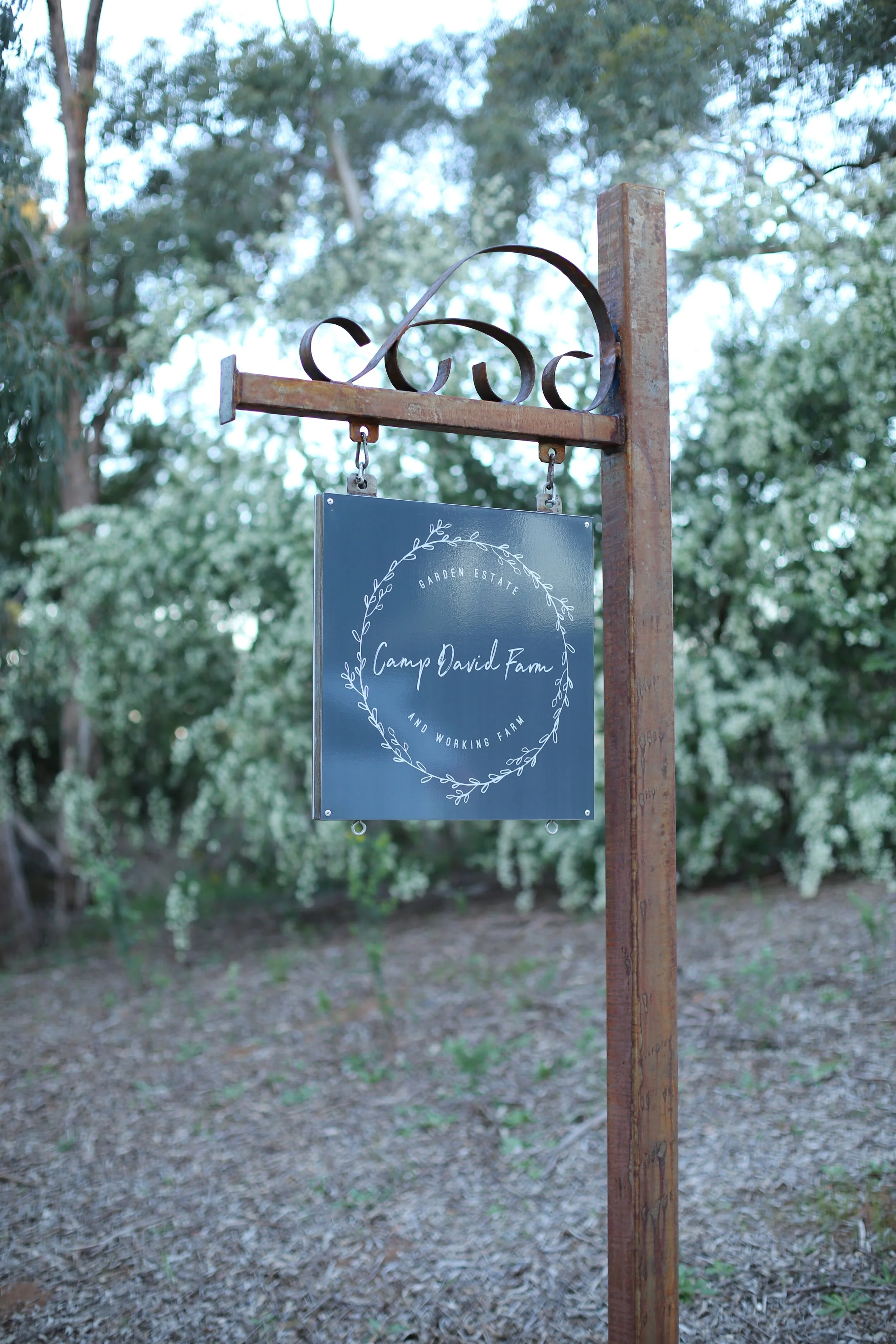 Tenylle Maree Photography (19).jpg