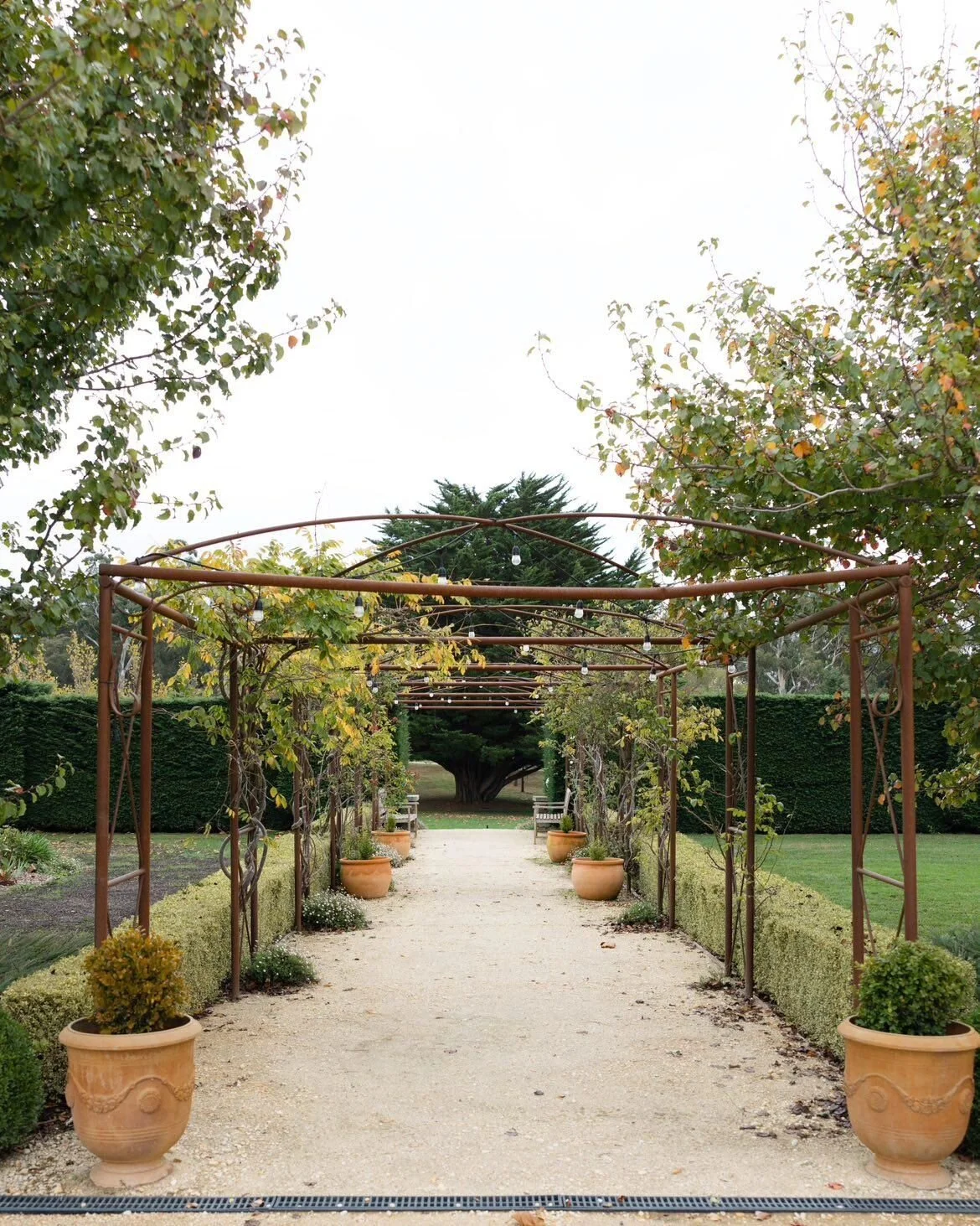 Autumn... 🧡💛💚