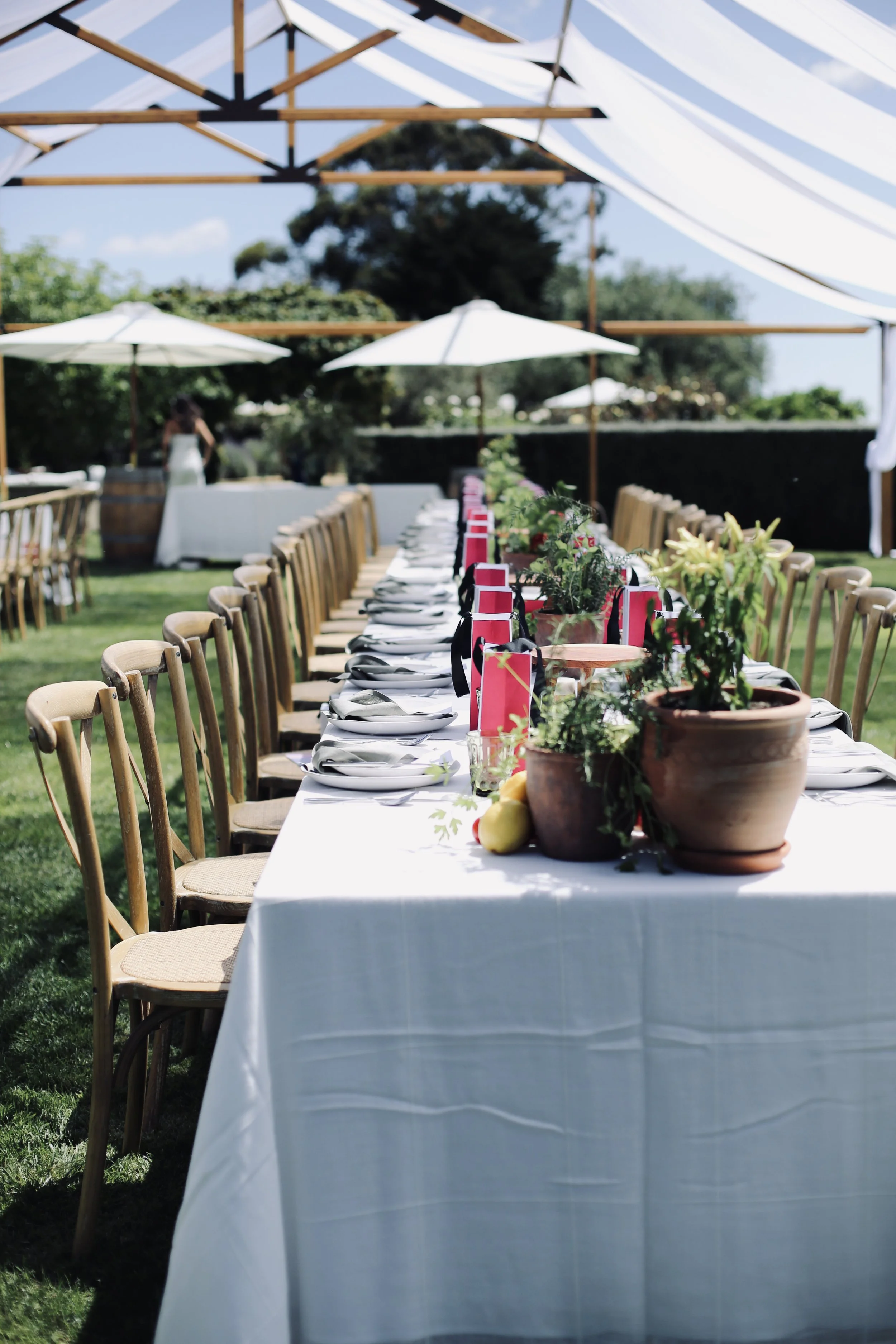 Rationale Christmas Celebration