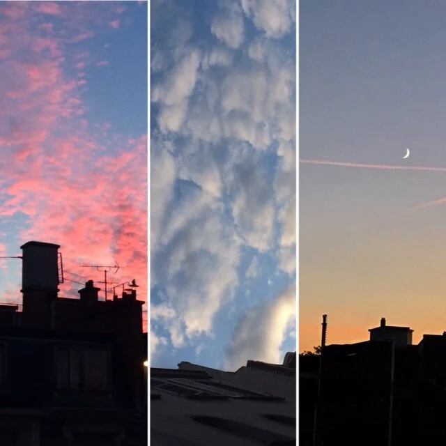 MorningMidDayNight.JPG