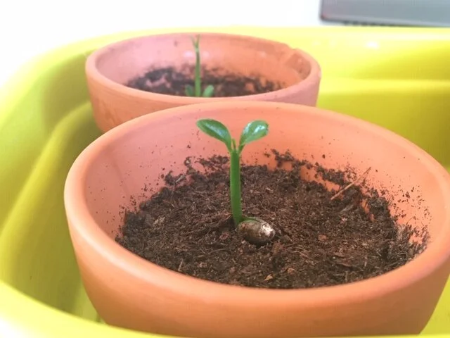 Look for those moments