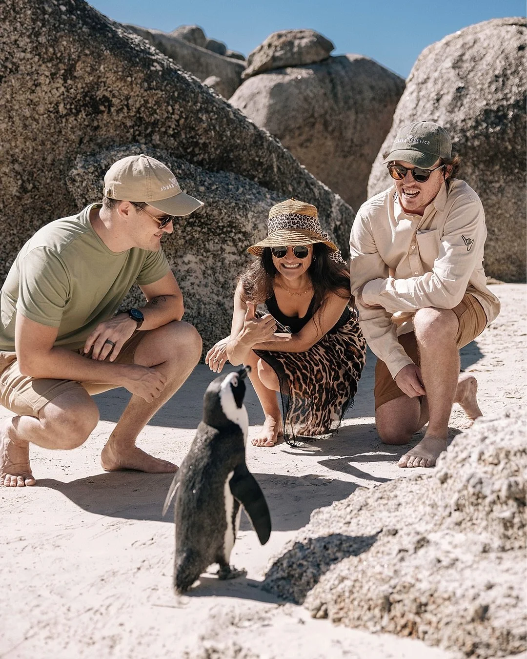Stills from a fun one I produced and shot for our travel company @shaka_africa 📸 

#capetown #southafrica #capepeninsula #cityofcapetown #africanpenguins #bouldersbeach #capepoint #chapmanspeak #luxurytravel

Co-producer &amp; Guide: @mornevandm 
Mo