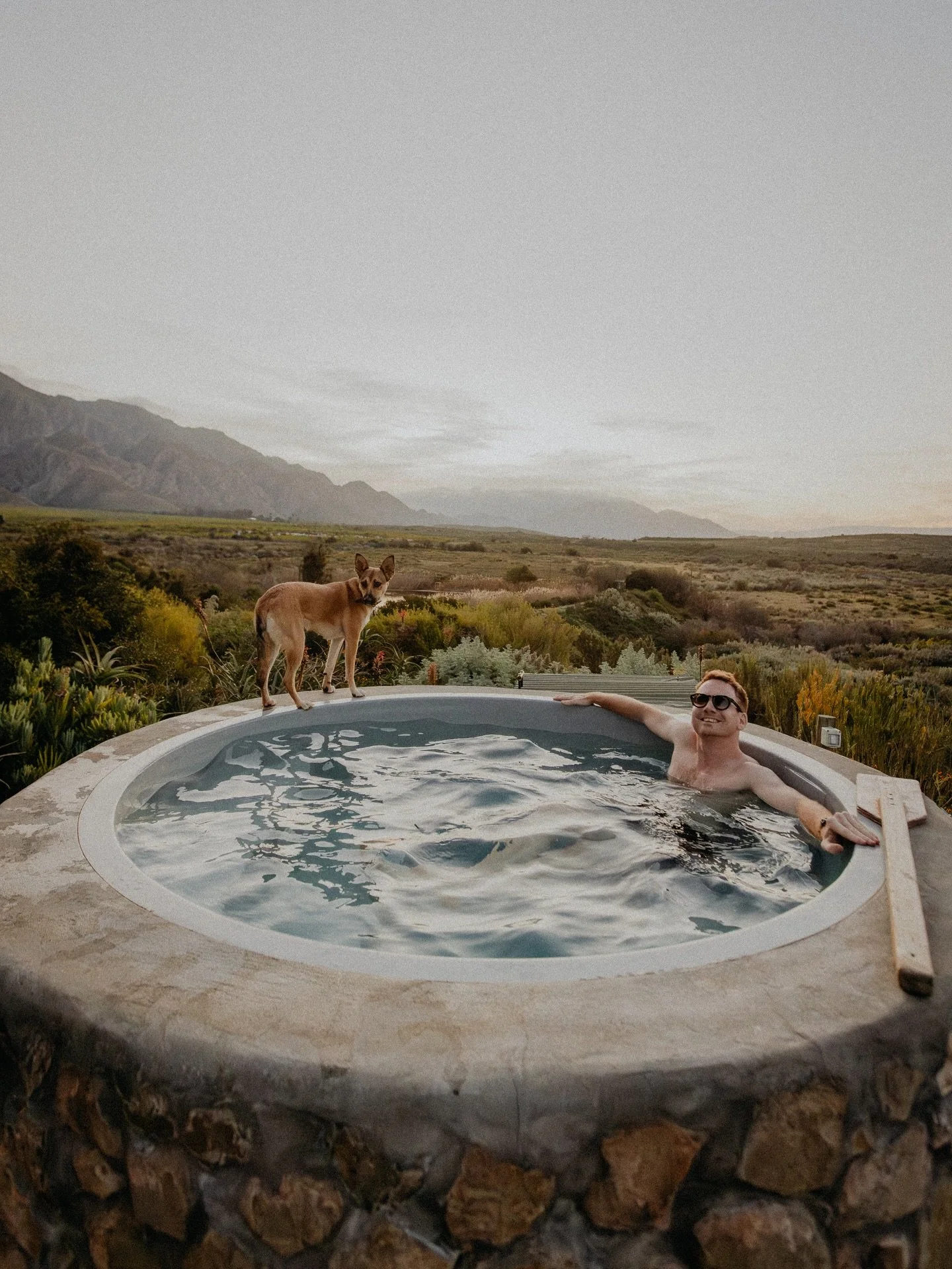 This is your sign to go for that midweek country getaway (and to adopt an Africanis) 🌾

#southafrica #africanis #dogsofinstagram