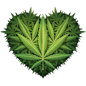 Psychedelic-Community-Forum-Center-for-Medicinal-Mindfulness-Boulder-Colorado.png
