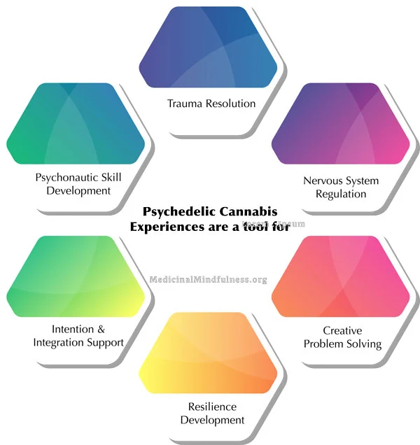 Cannabis-as-a-Tool-web.jpg