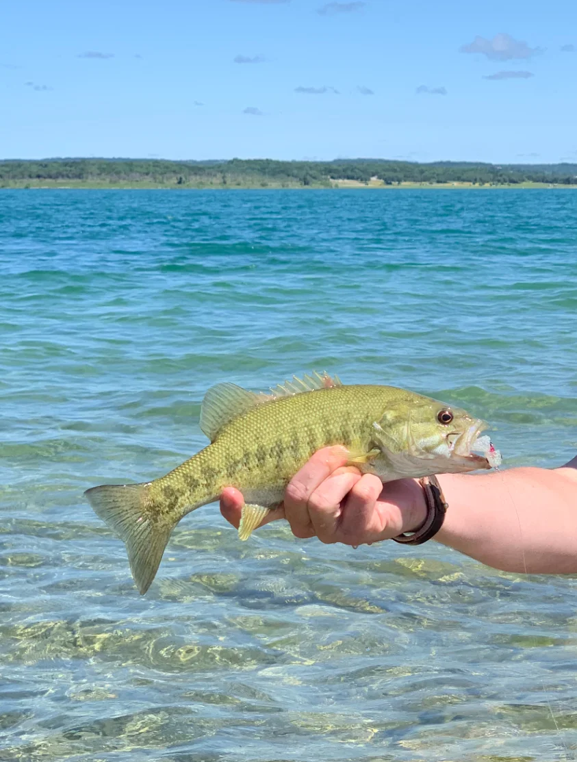 3rd Annual Bass N' Brew Fly Fishing Clinic