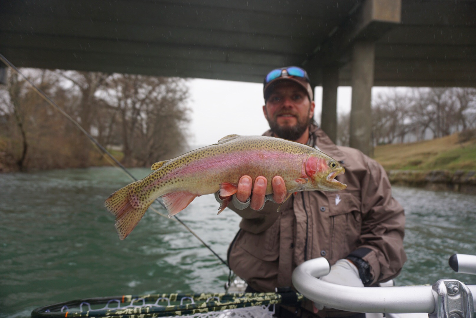 Rainbow Trout