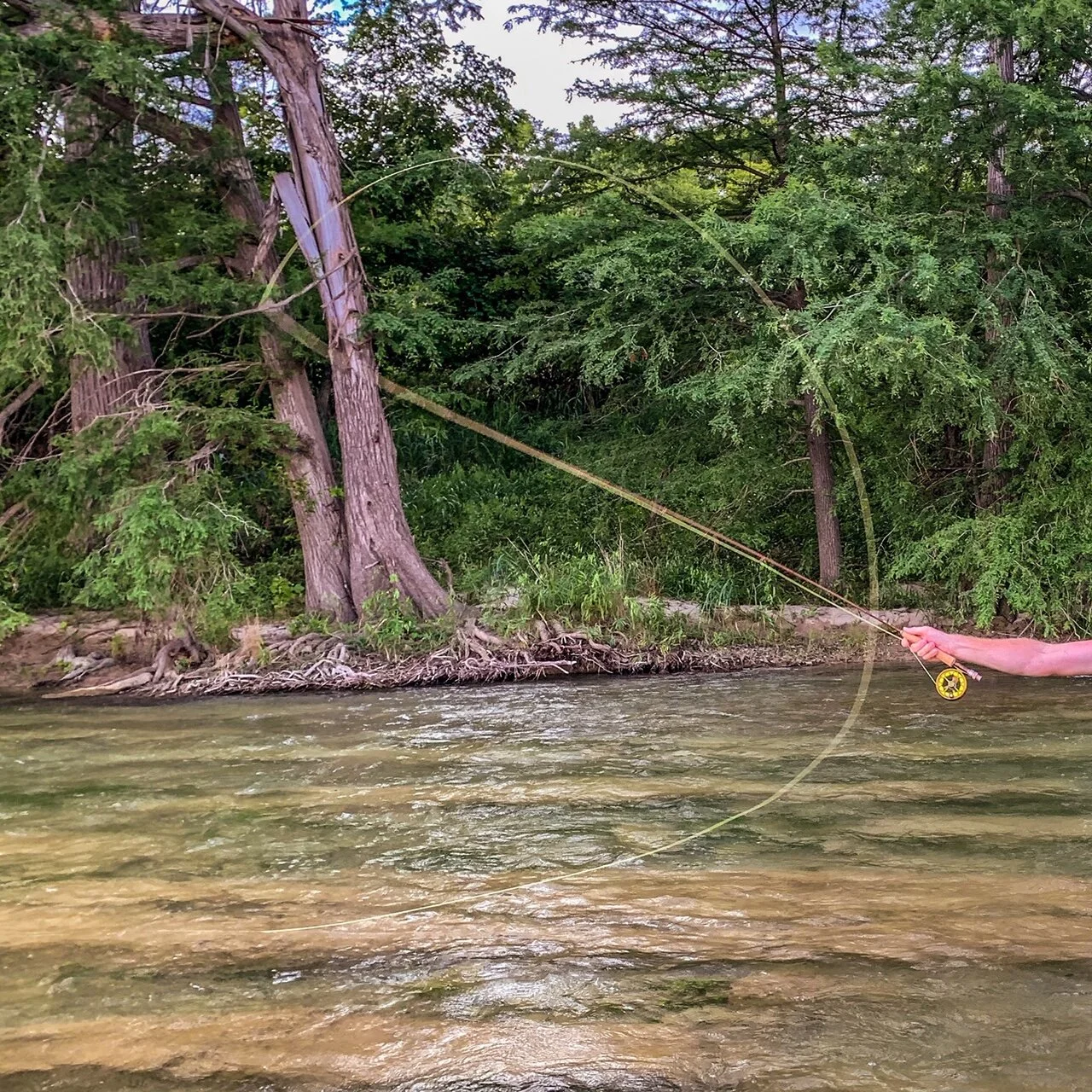 6th Annual ReelFly Winter Trout Fly Fishing Clinic