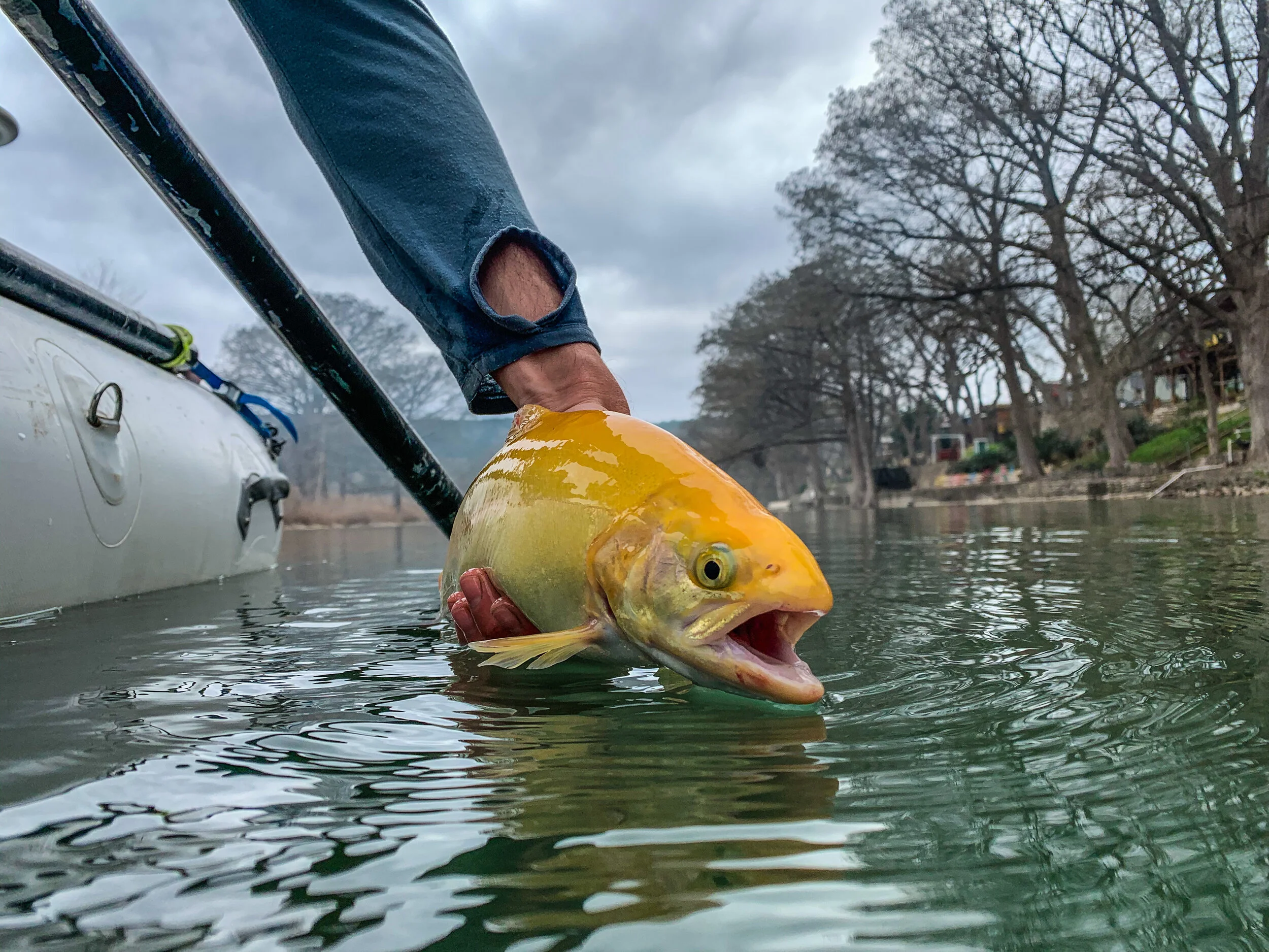 ReelFly