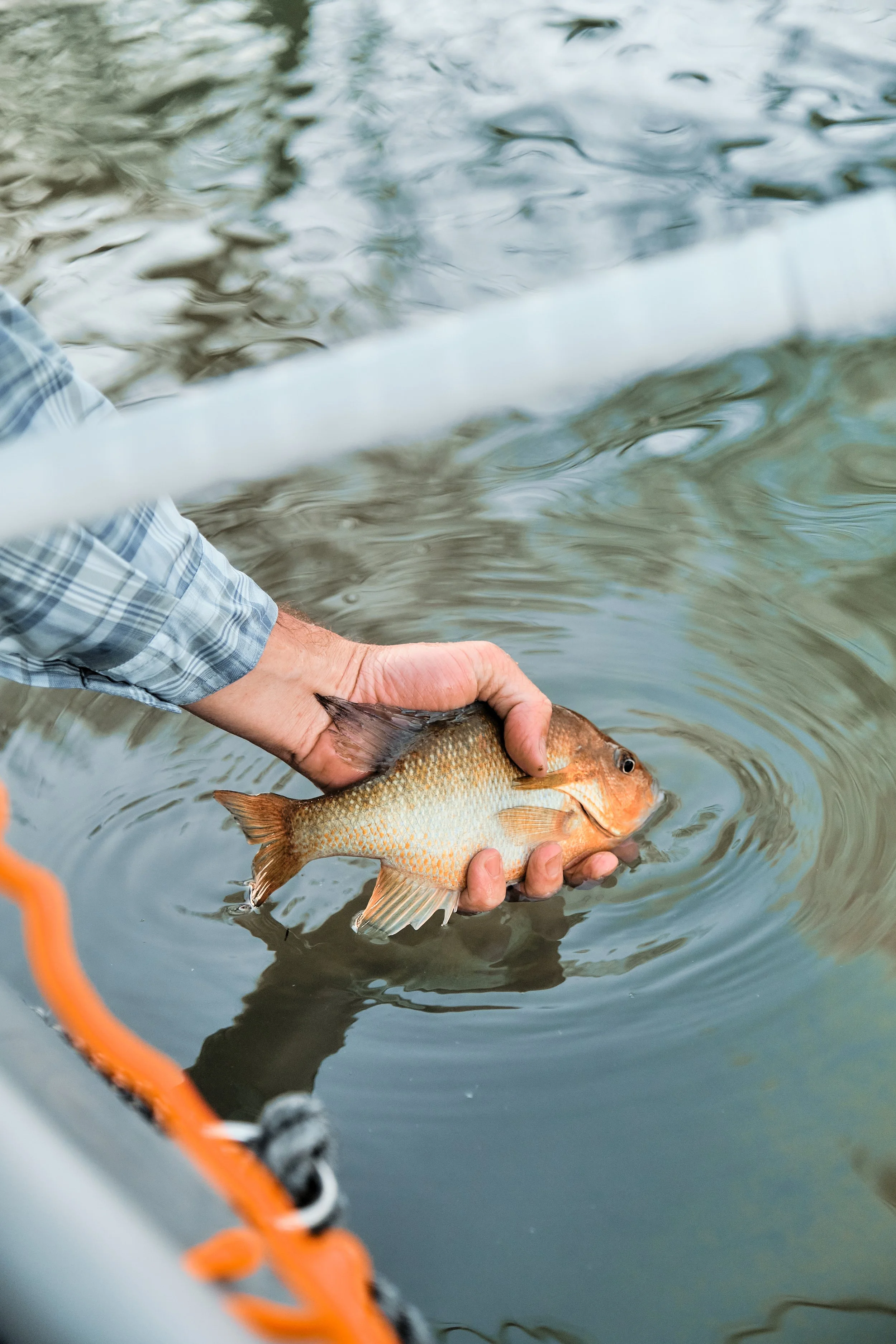 Summer Fly Fishing Clinic Series - Wimberley 9/23/23 