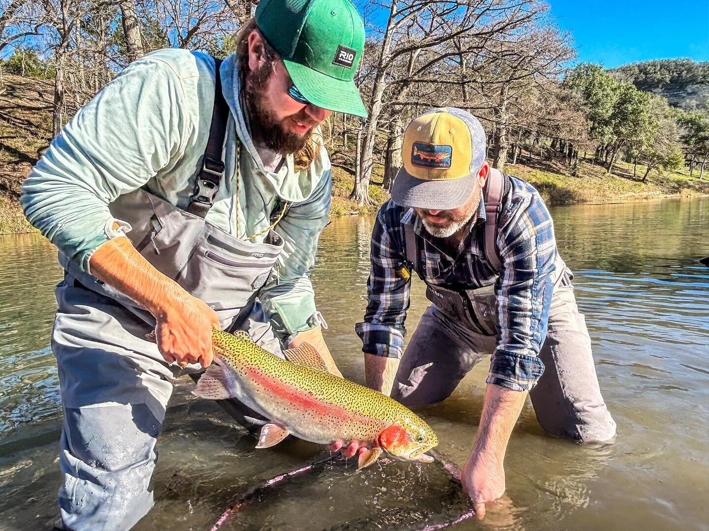 Our solid network of local guides ensures a ton of availability throughout the season&hellip; and the season is now! @guadalupe_river_outfitters showed our clients some magnificent Texas hill country Trout on a recent trip. Book over the phone, in th