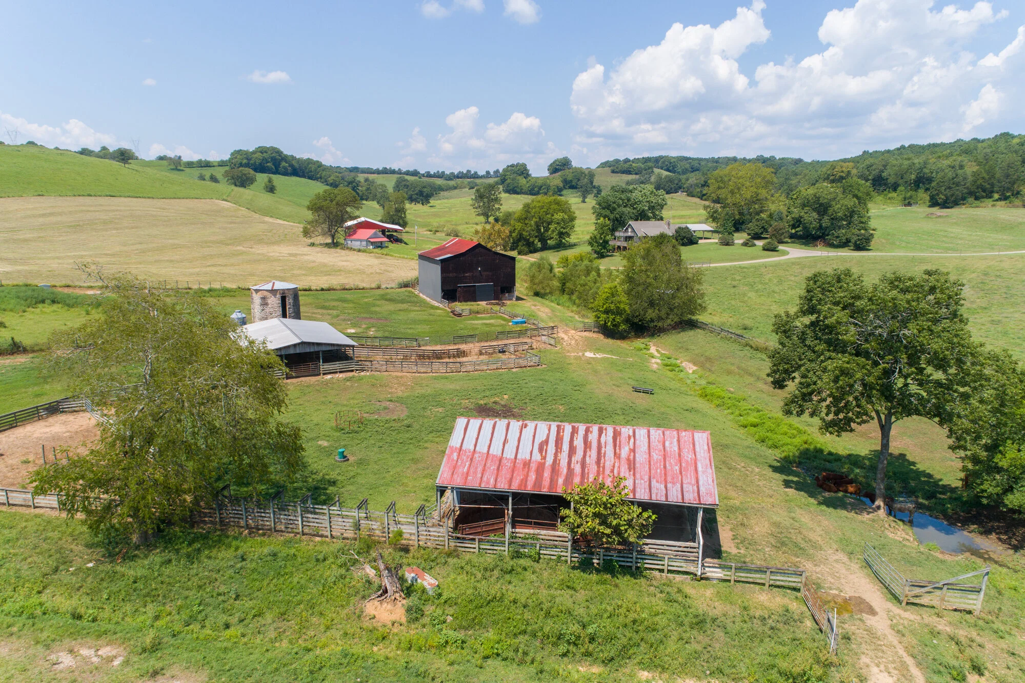 DJI_0062.jpg