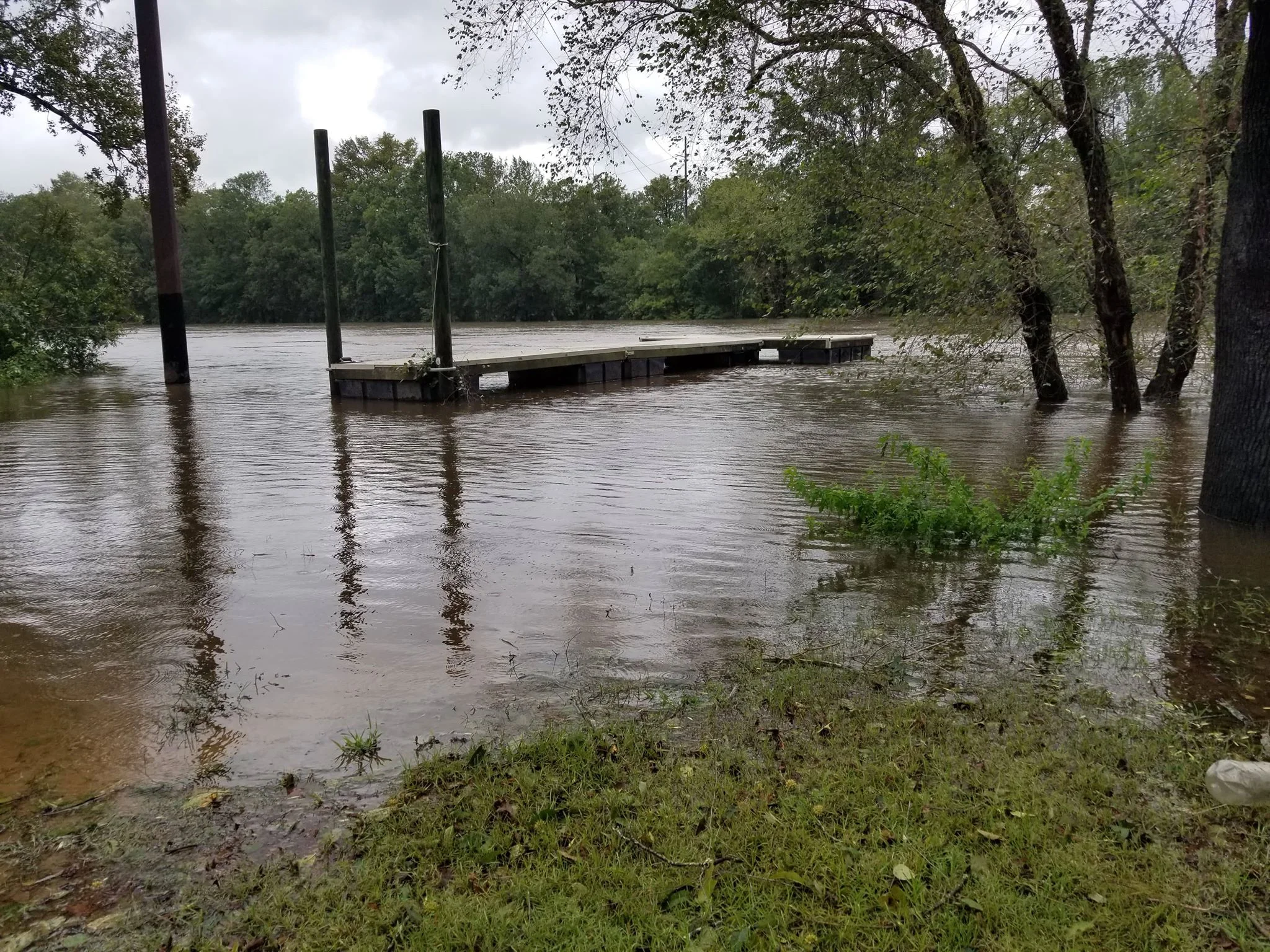 Kinston
